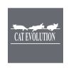 Pánské tričko Evoluce kočky