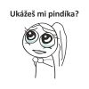 Pánské tričko Ukážeš mi pindíka?