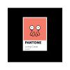 Dámské tričko Pantone